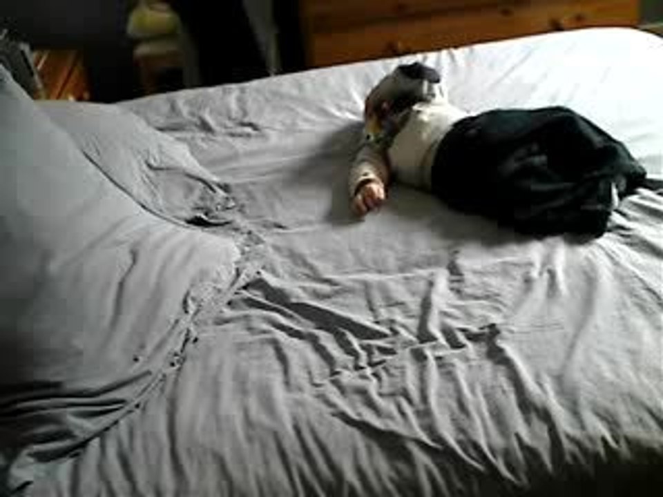 Gazouillis sur le lit!