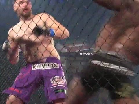 Le Mixed Martial Arts , un sport violent en quête d'une légalisation