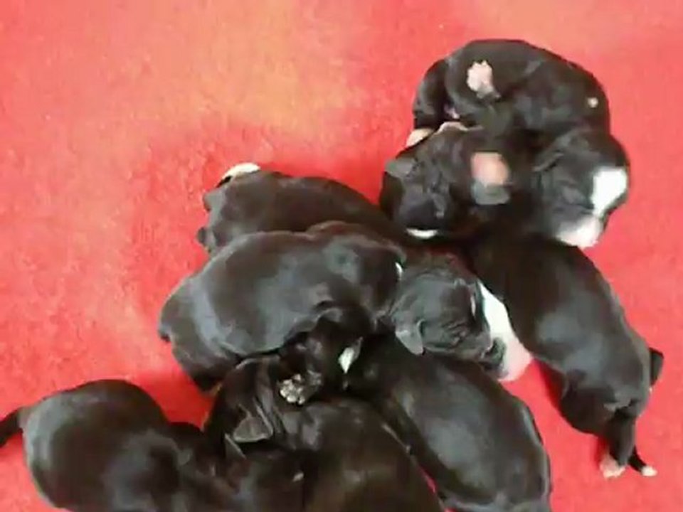 Bébés de Fairview le 2 mai