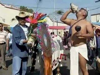 День осла отметили в Мексике