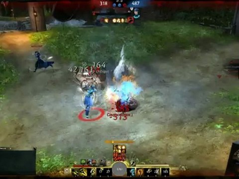 [Option] debo pvp 2 guild wars 2 beta