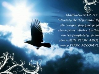 Libérés, oui, mais de quoi ?