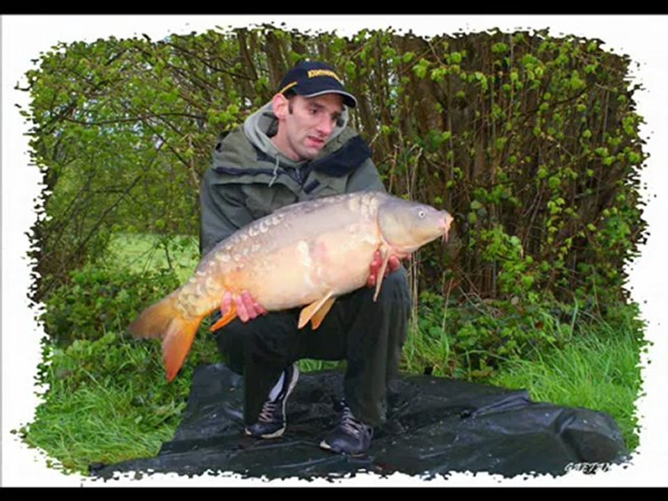 diapo fishabil