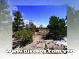 ABSOLUTE AUCTION VIEW LOTS IN CASTLE ROCK CO