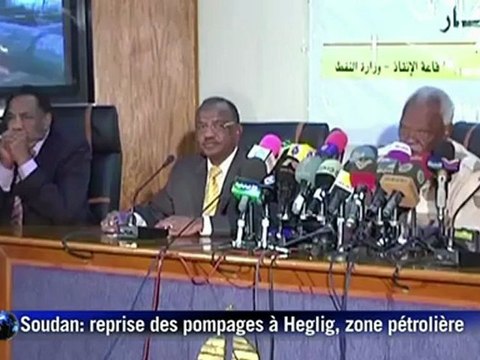 Soudan: reprise des pompages dans la zone pétrolière d'Heglig