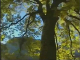 İstediğim Haktır Benim