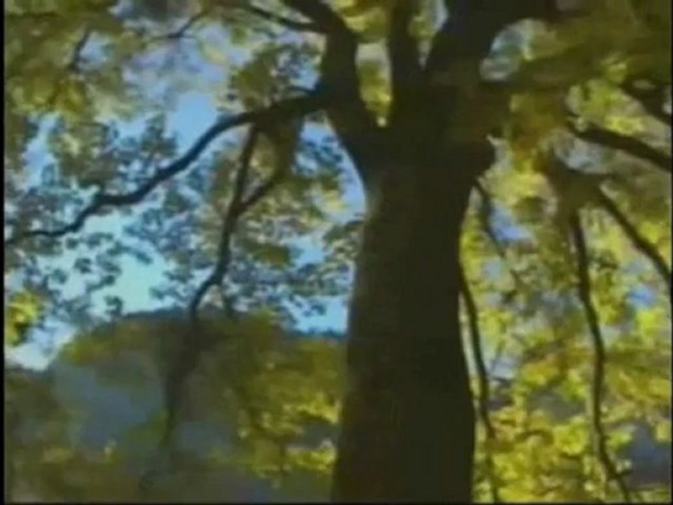 İstediğim Haktır Benim