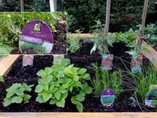 Bonnière 16 ( Atelier Jardin mars avril 2012 )