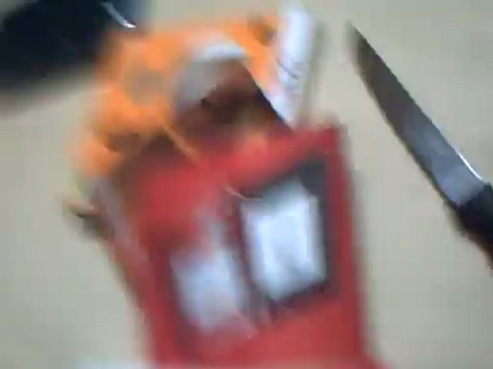 decouvert de nintendogs+cast(3ds)