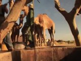 Africa Uncovered - Shifting sands - 25 Aug 08 - Part 2