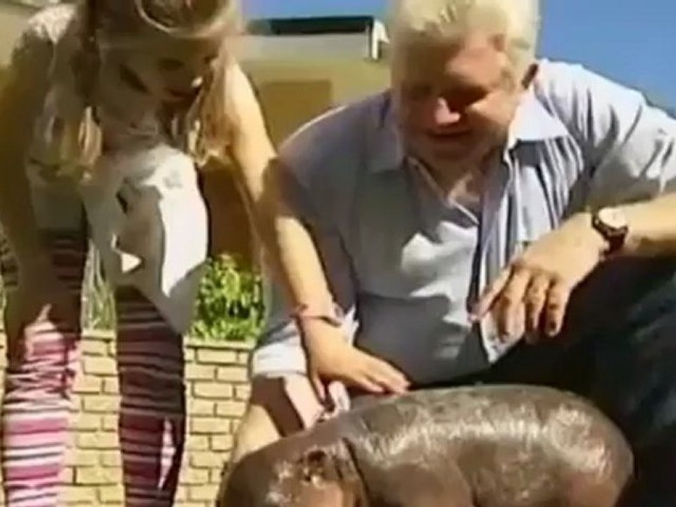 Rare Baby Pygmy Hippo Gets A Royal Name