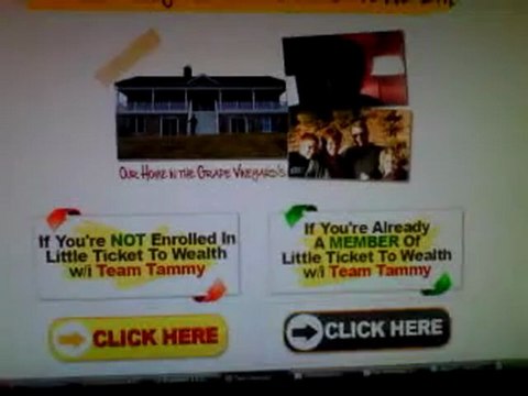 Little To Wealth And the Benefits of Joining Team Tammy