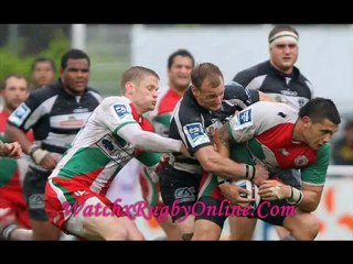 Montpellier vs Biarritz Live Match Streaming