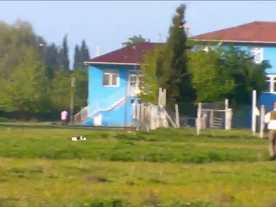 adapazarı mera yarışması 3