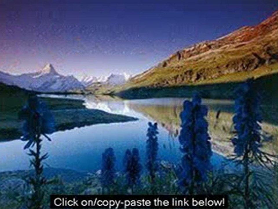 Best language learning software