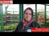 Aveyron : des arbres fruitiers dans le jardin potager