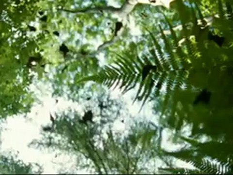 The Last Son la malediction - Bandes-Annonces Vf