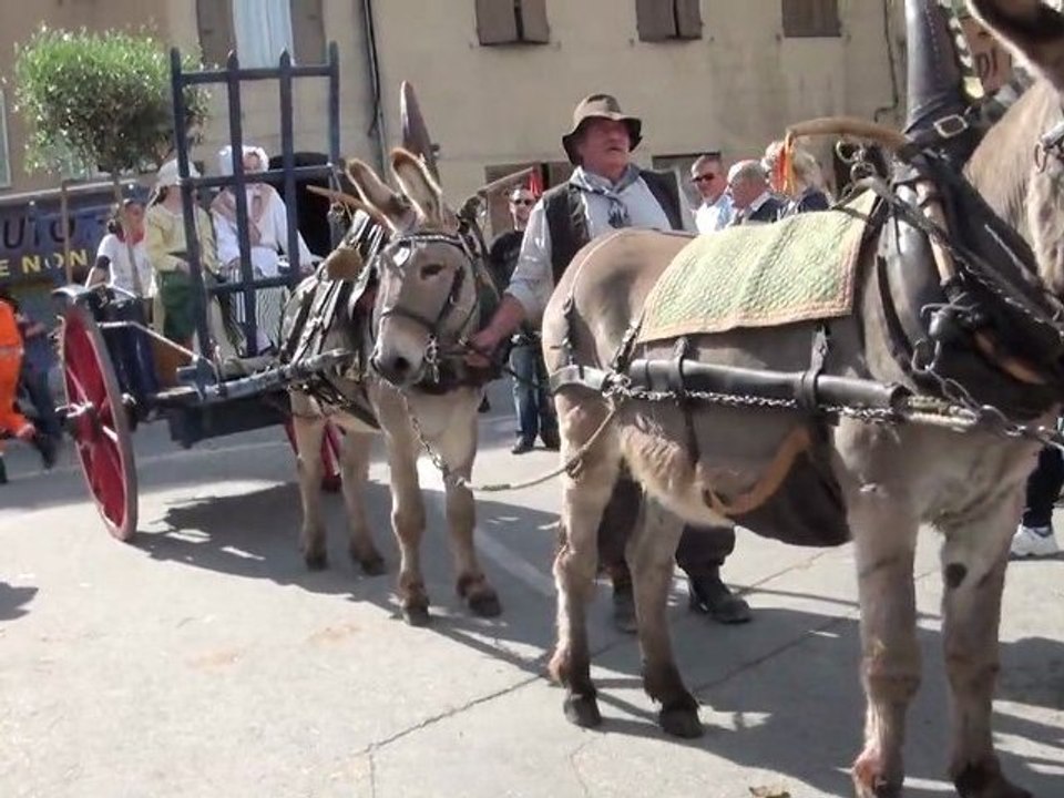 Fête de l'Âne Roquevaire 2012
