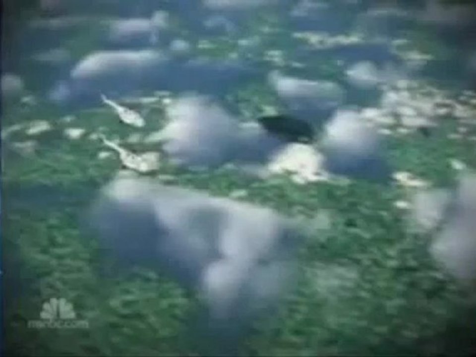 Listening Post - Republican convention - 05 Sep 08 - Part 2