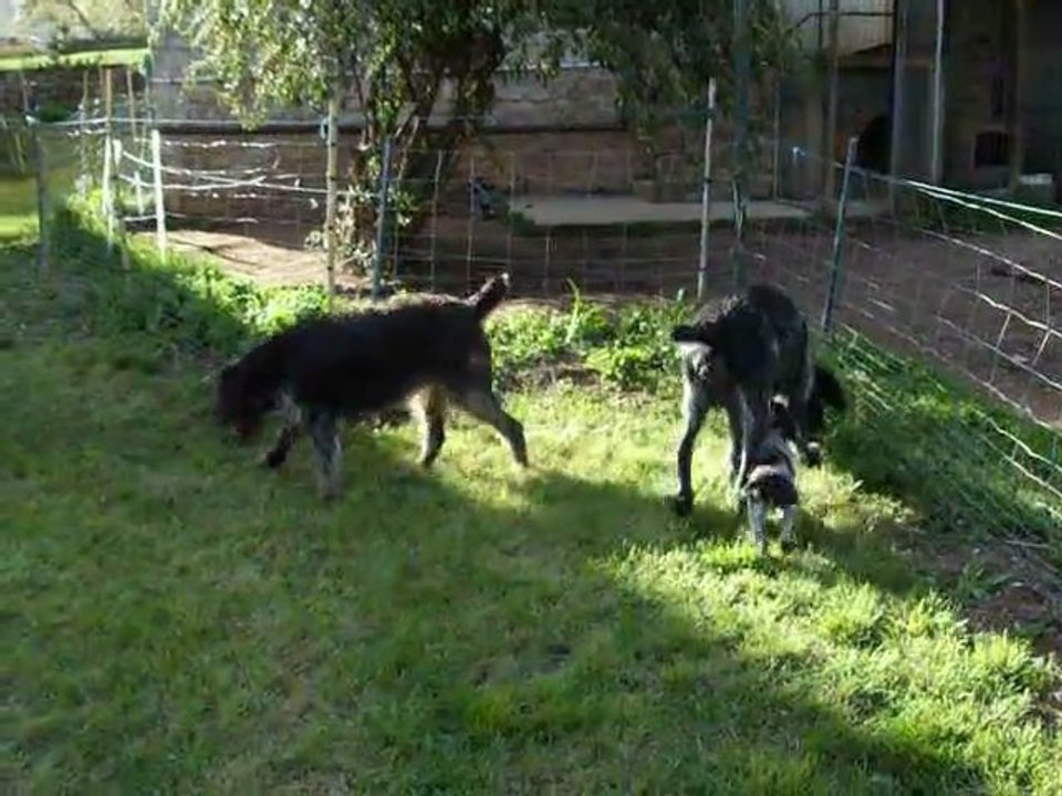 les bebes jardin avec les gros le 1er mai