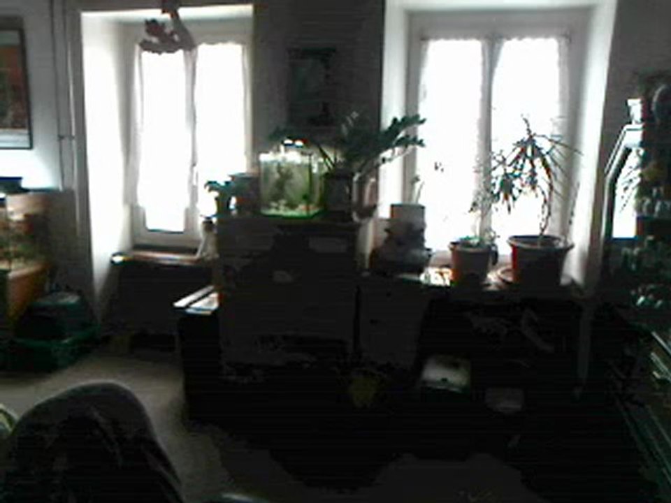 Lazy Town : Viivi13 dancing to' Bing Bang from' Sheblly Young