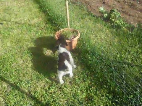 les bebes le 1er mai