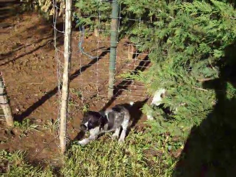 les bebes jardin le 1er et 2 mai