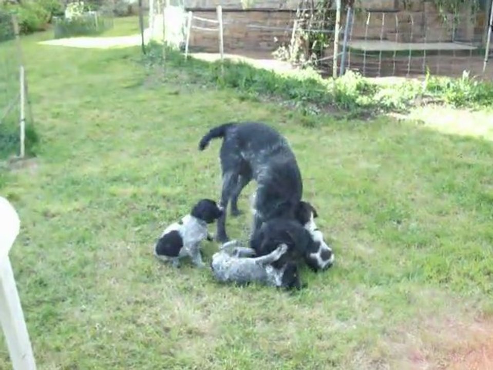 les bebes jardin le 1er mai