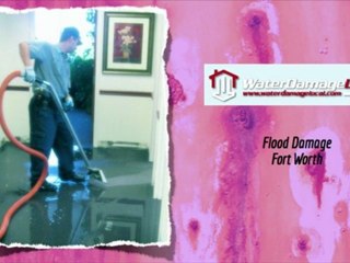 Fort Worth Flood Damage ~ Damp and Moldy?