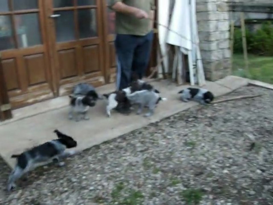 LES BEBES ENTRAINEMENT 1ER MAI