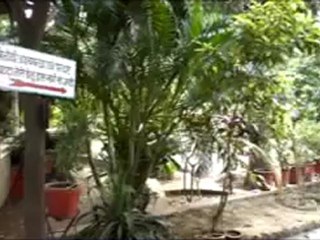 DIVYA YOG AUSHDHALAYA HARIDWAR UTTARAKHAND