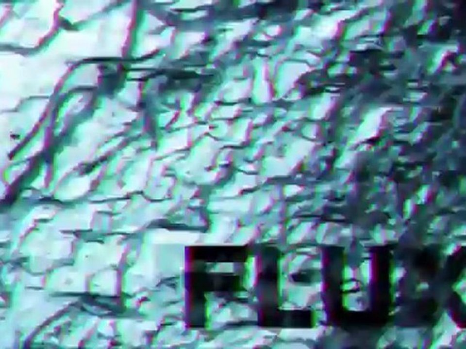 FLUX 1.0