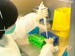 الاجراءات الصحية في البحرين لمواجهة أنفلونزا الخنازير