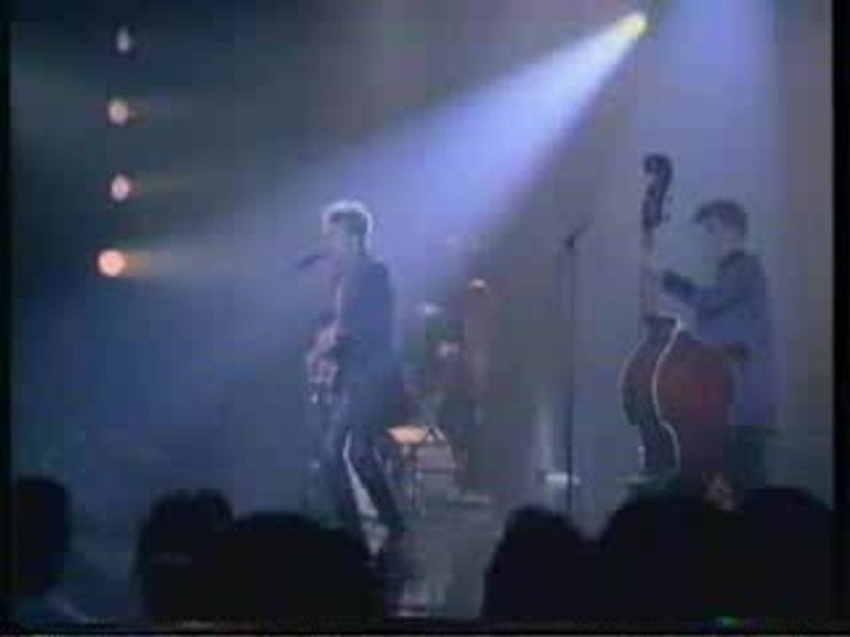 Stray Cats - Blue Suede Shoes