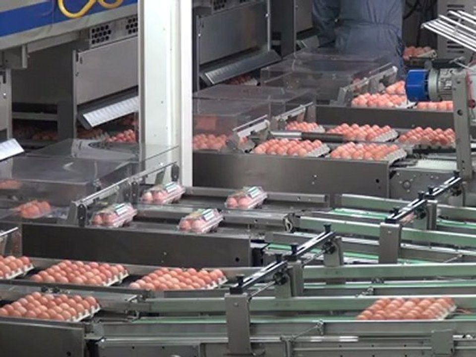 Cuiseaux - Collège Roger Boyer - Trophée Frontinus 2012