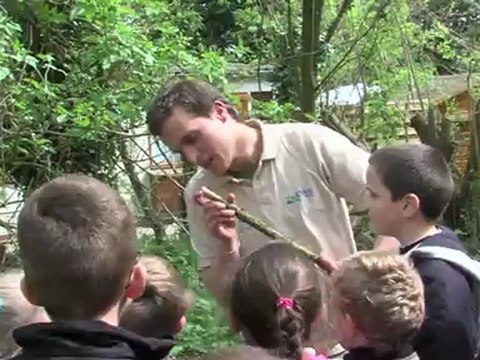 Opal'TV - Le JT - Edition du jeudi 3 mai 2012