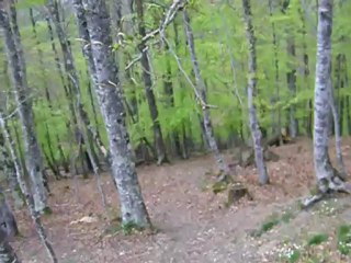 Storm, aveugle avec leurre