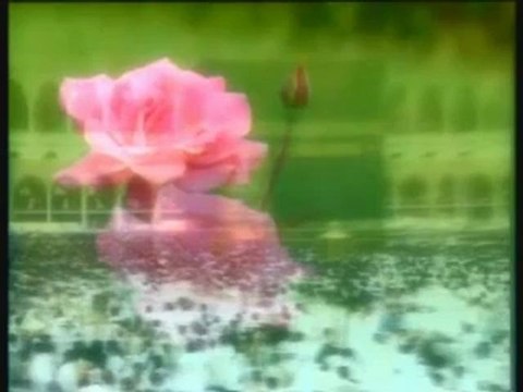 Cemal Kuru - Bende Gidem