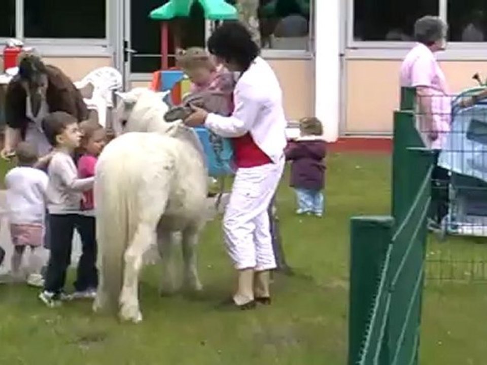 Les poneys 2