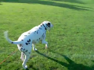 3 MAI EOL et Balle 🎯