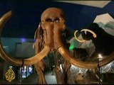 Permafrost unearths mammoth remains in Siberia - 19 Oct 08