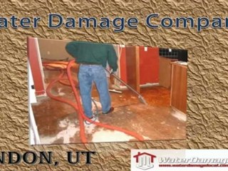 Lindon Water Damage