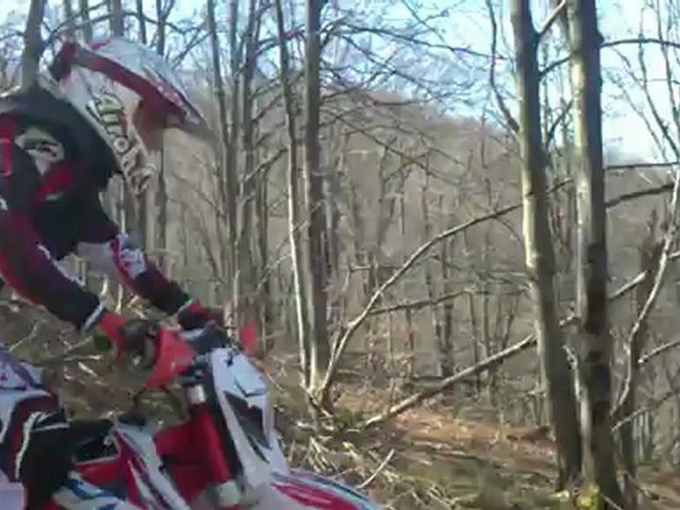 Petite montée dans les bois 2