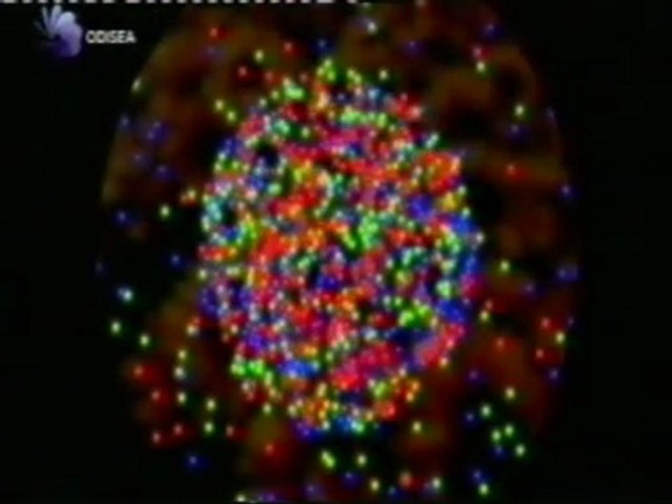 Evolucion de los antropoides: Vision tricromatica y expresiones faciales