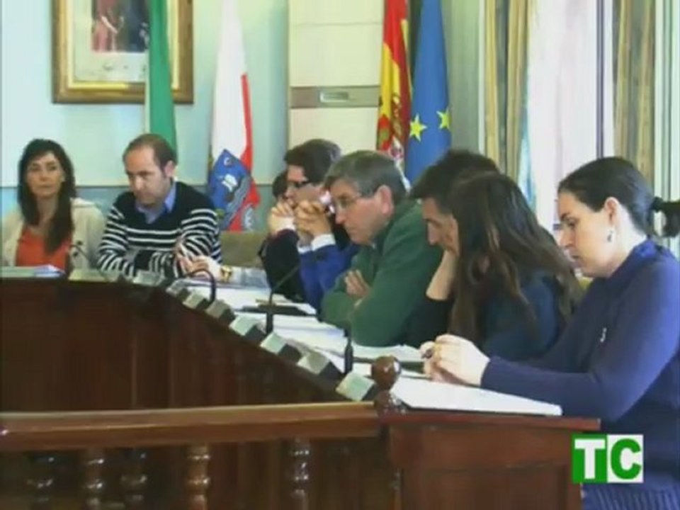 Pleno Ordinario 19 abril 2012 1