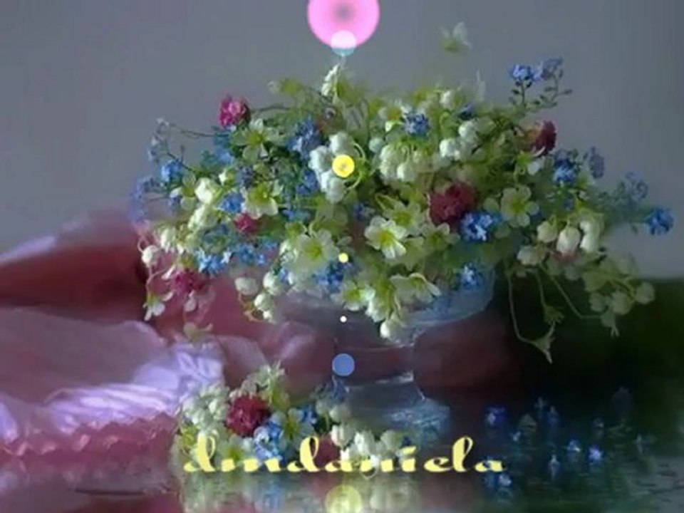 amalia rodrigues-canzone per te