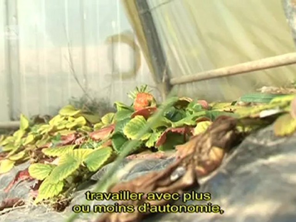 Maraîchage et table d'hôte à l'ESAT La Bessonnière