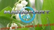 Mario Kart Wii NightPlay - Soiree Mario Kart Wii [Special 1er Mai 1-5-2012]