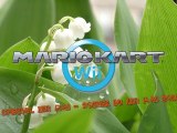 Mario Kart Wii NightPlay - Soiree Mario Kart Wii [Special 1er Mai 1-5-2012]