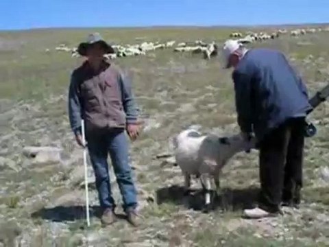 Erzurum İspir Yağlı Köyü Çekimleri